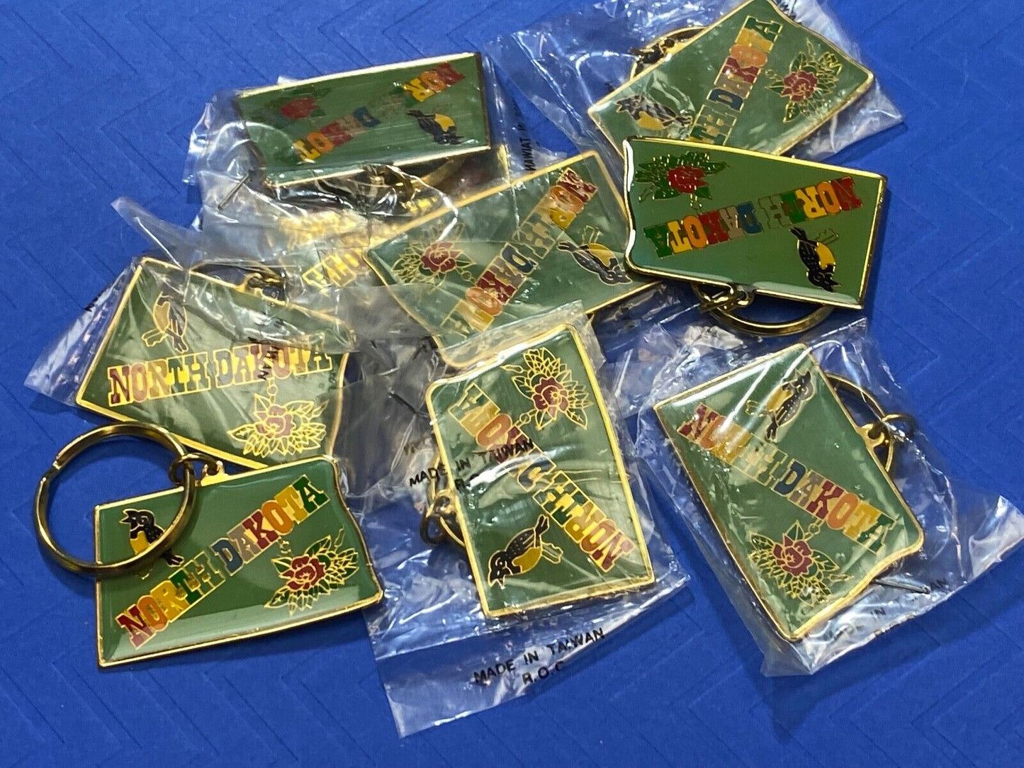 10 LOT North Dakota Souvenir Keychain -Key Ring Chain Resale Pack wholesale pack