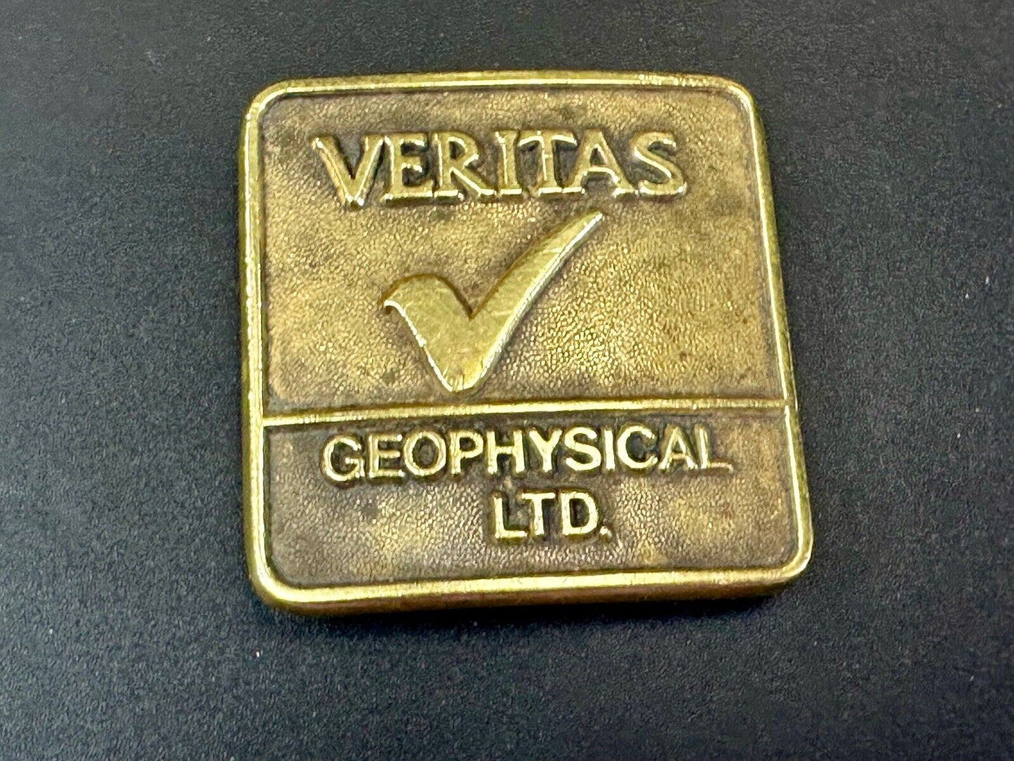 Veritas Geophysical Ltd CGG Alberta Canada vintage adverting belt buckle