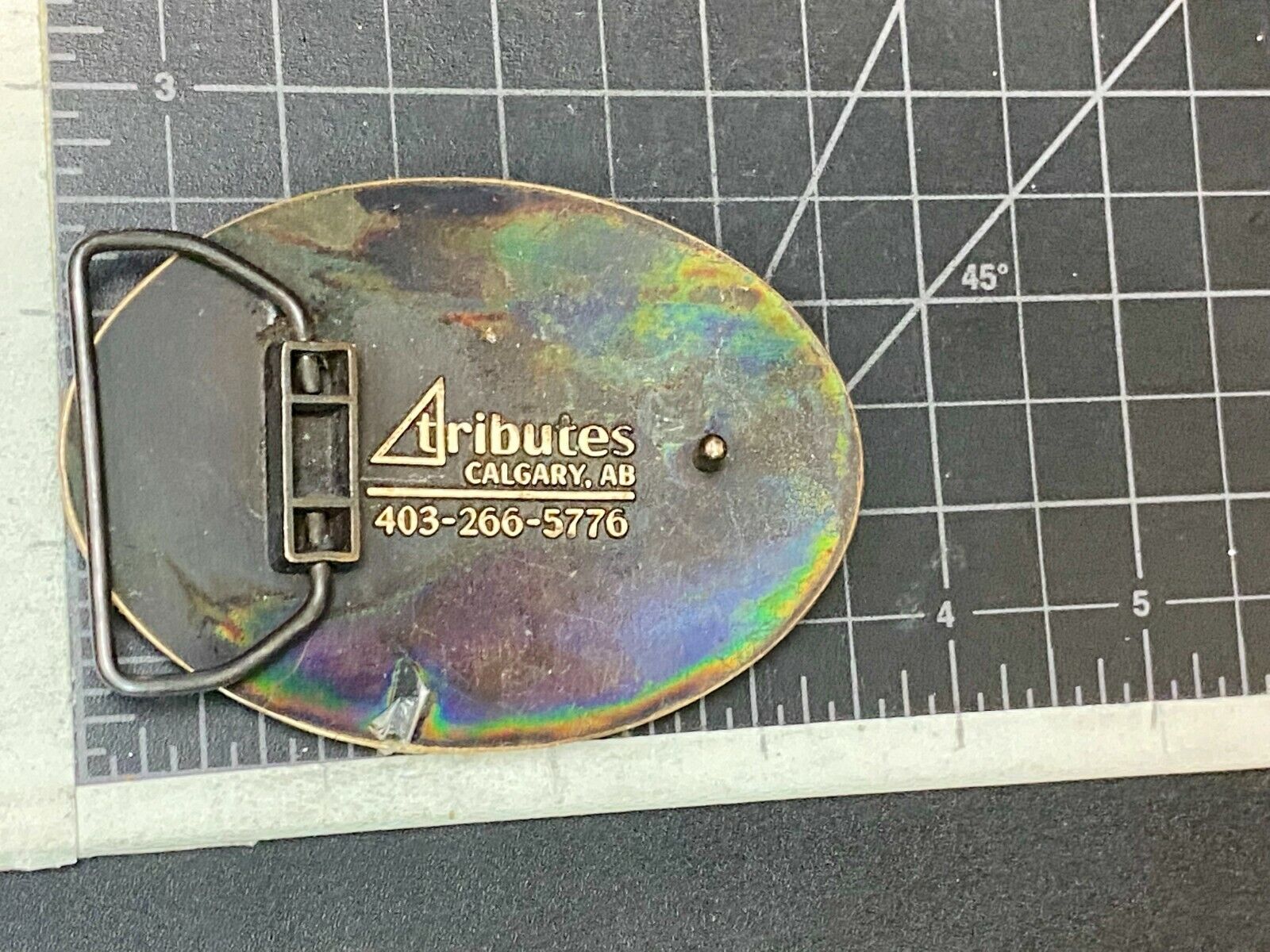 Alliance Pipeline Aux Sable Liquid Products Oil Ngl Extraction Belt Buckle