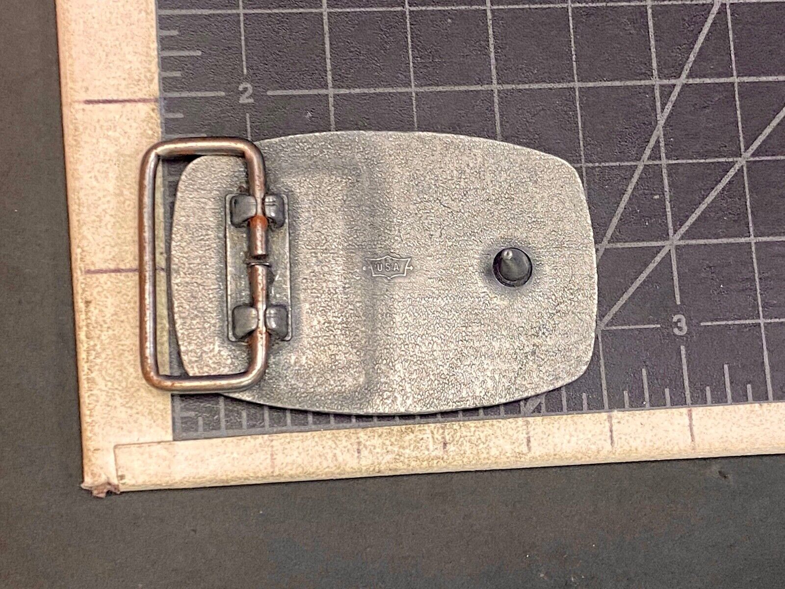 Unknown To Me Dove? As Picture Centerpiece In Southwest Vibebelt Buckle 