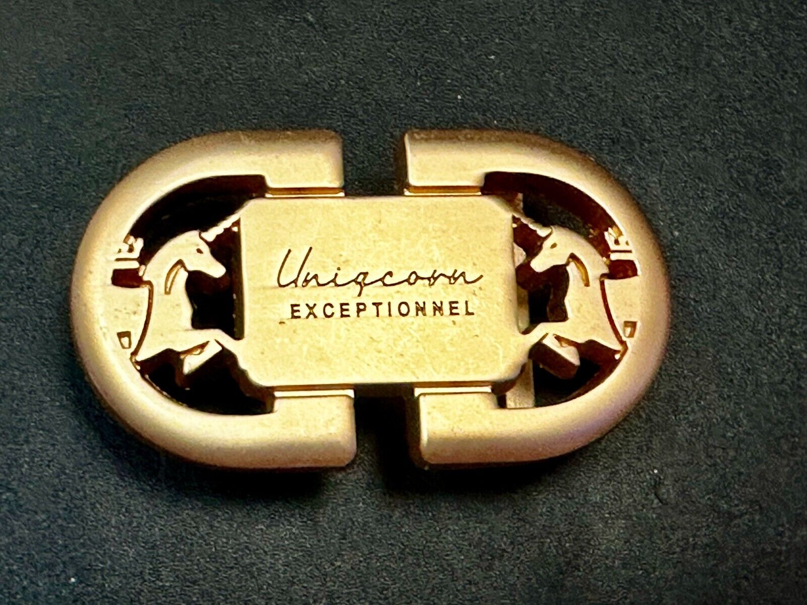 Uniqcorn Exceptionnel - Unknown to me!   unicorn's facing in cutout Belt Buckle