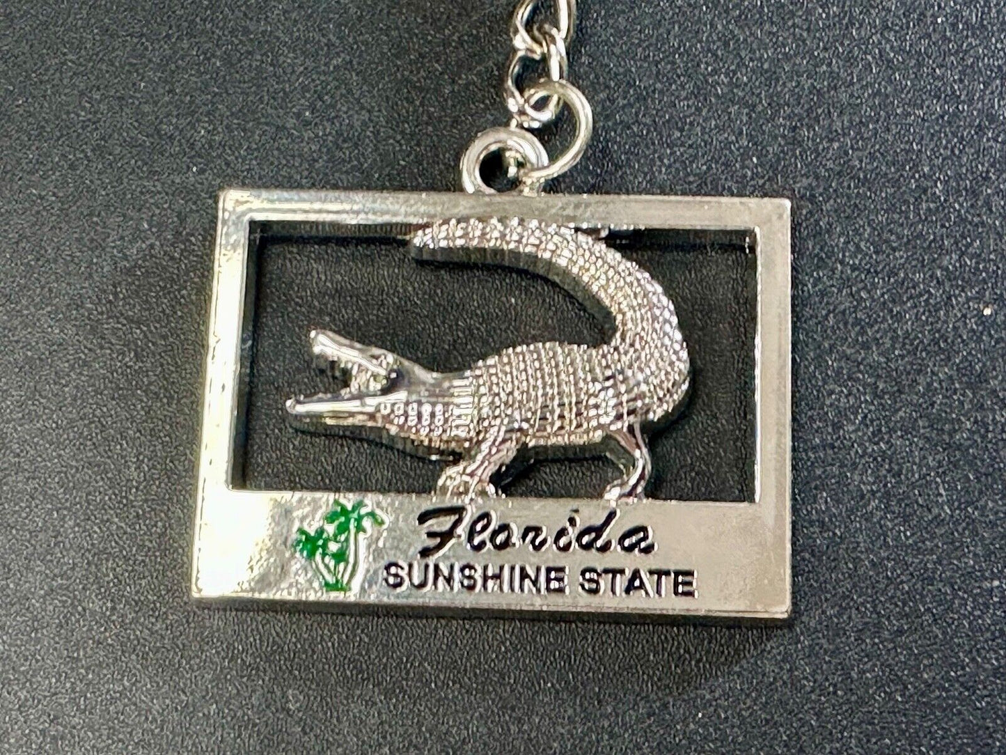 Alligator, Florida,  The Sunshine State souvenir Keychain - Key Ring Chain