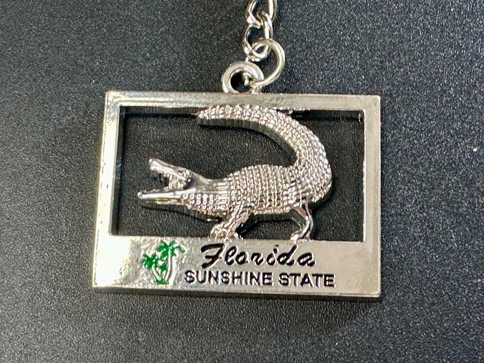 Alligator, Florida,  The Sunshine State souvenir Keychain - Key Ring Chain