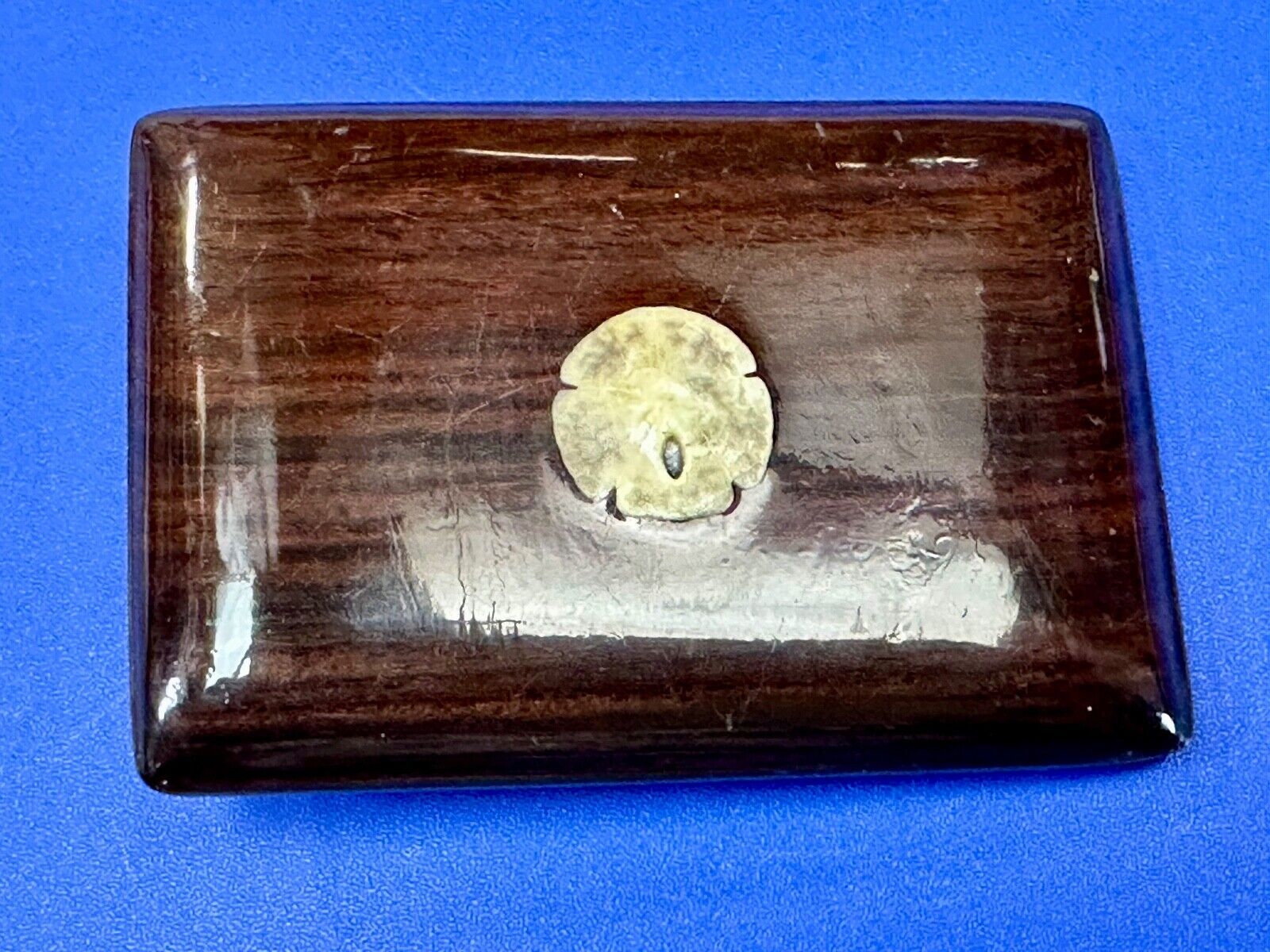 Artisan wood belt buckle with small inlaid sand dollar sea shell