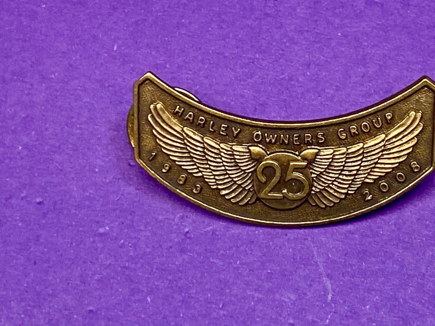 25 years! 2008 Harley Davidson HOG Harley Owners Group Motorcycle jacket Pin 