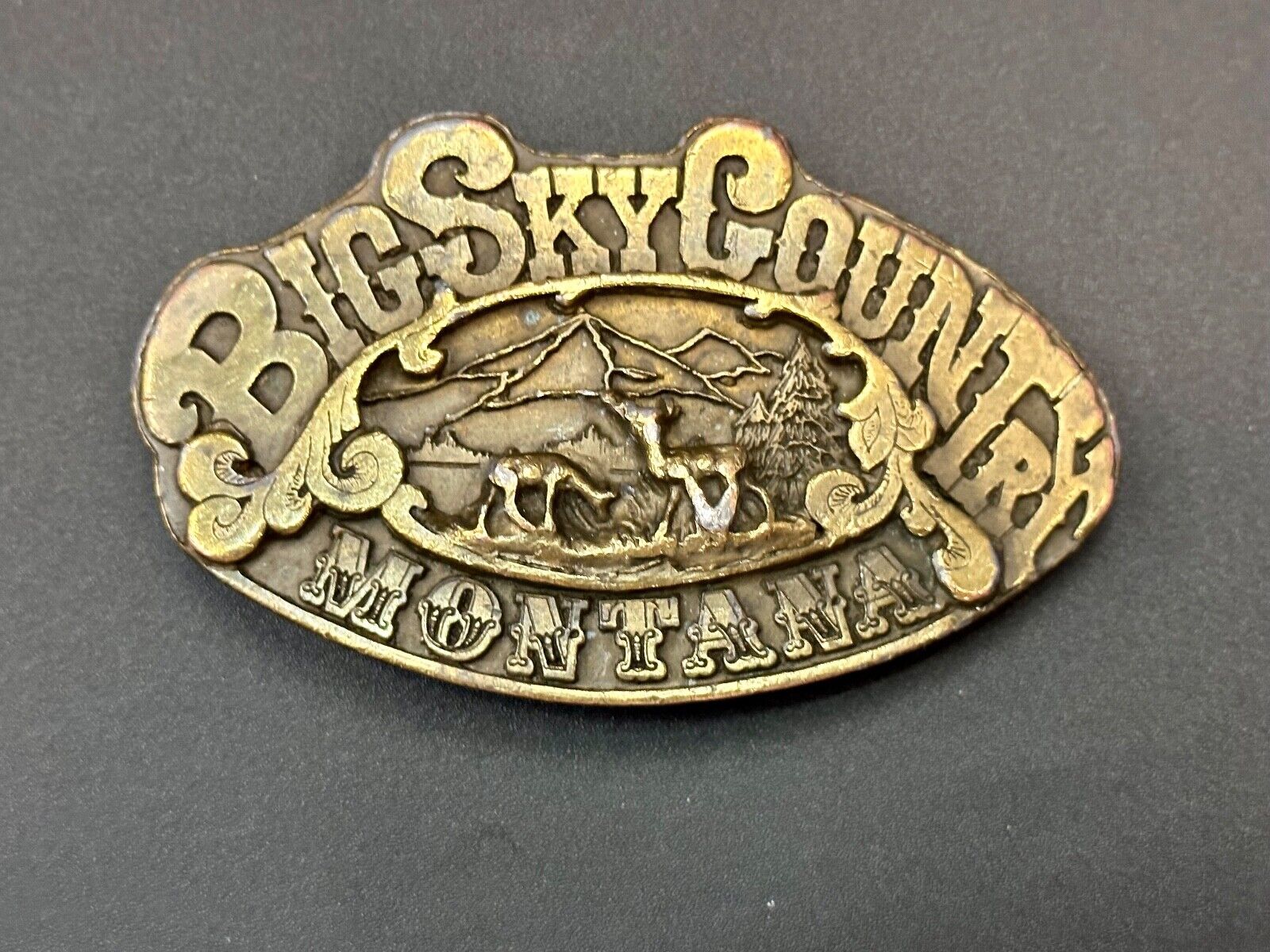 Big Sky Country Montana Vintage Collectable belt buckle by Adezy