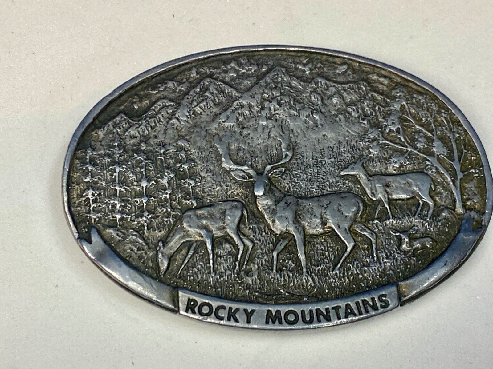 Vintage Deer in nature, Rocky Mountains Belt buckle by Spec Cast 