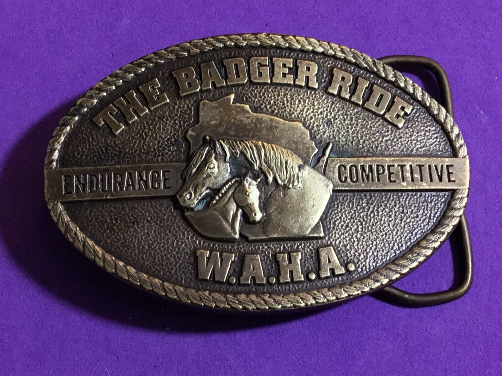 Vintage 1977 Bergamot WI Arabian Horse Assn    THE BADGER RIDE belt buckle  