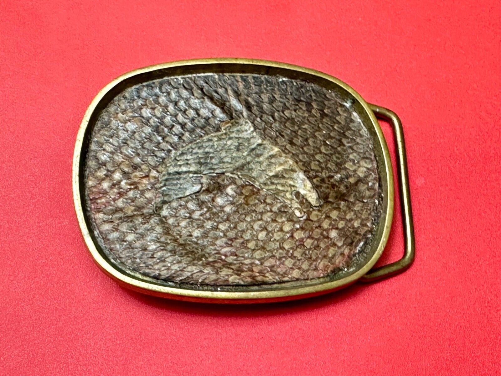Artisan jumping fish on snake skin solid brass belt buckle