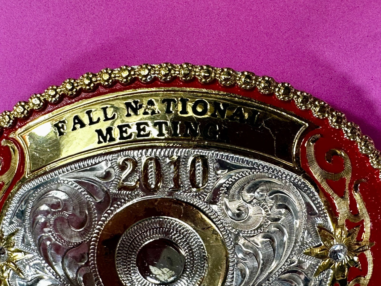 2010 Fall National Meeting Region 300 Best in Class Award Trophy Belt Buckle