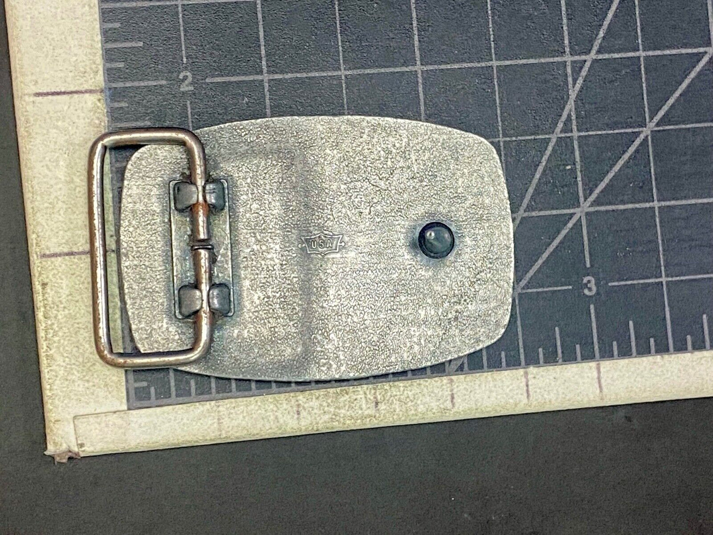 Unknown To Me Dove? As Picture Centerpiece In Southwest Vibebelt Buckle 