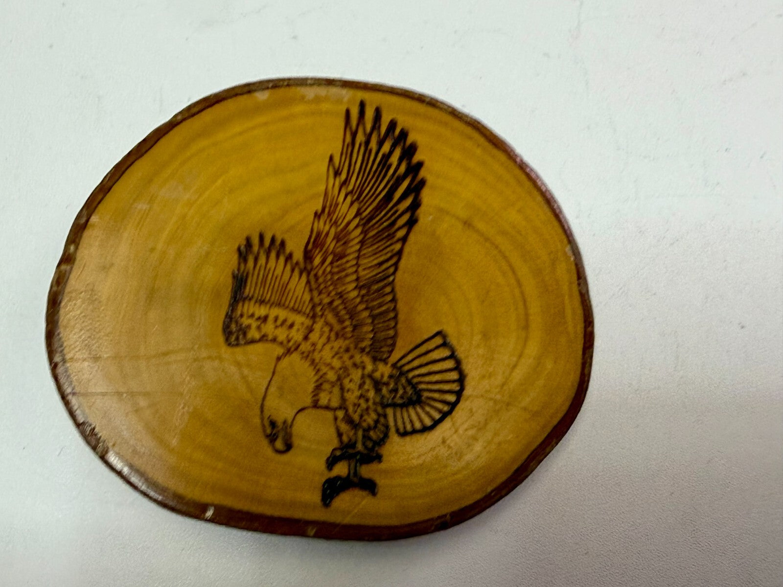 American Bald Eagle Hunting Diving Etching Picture On Wood Log Belt Buckle