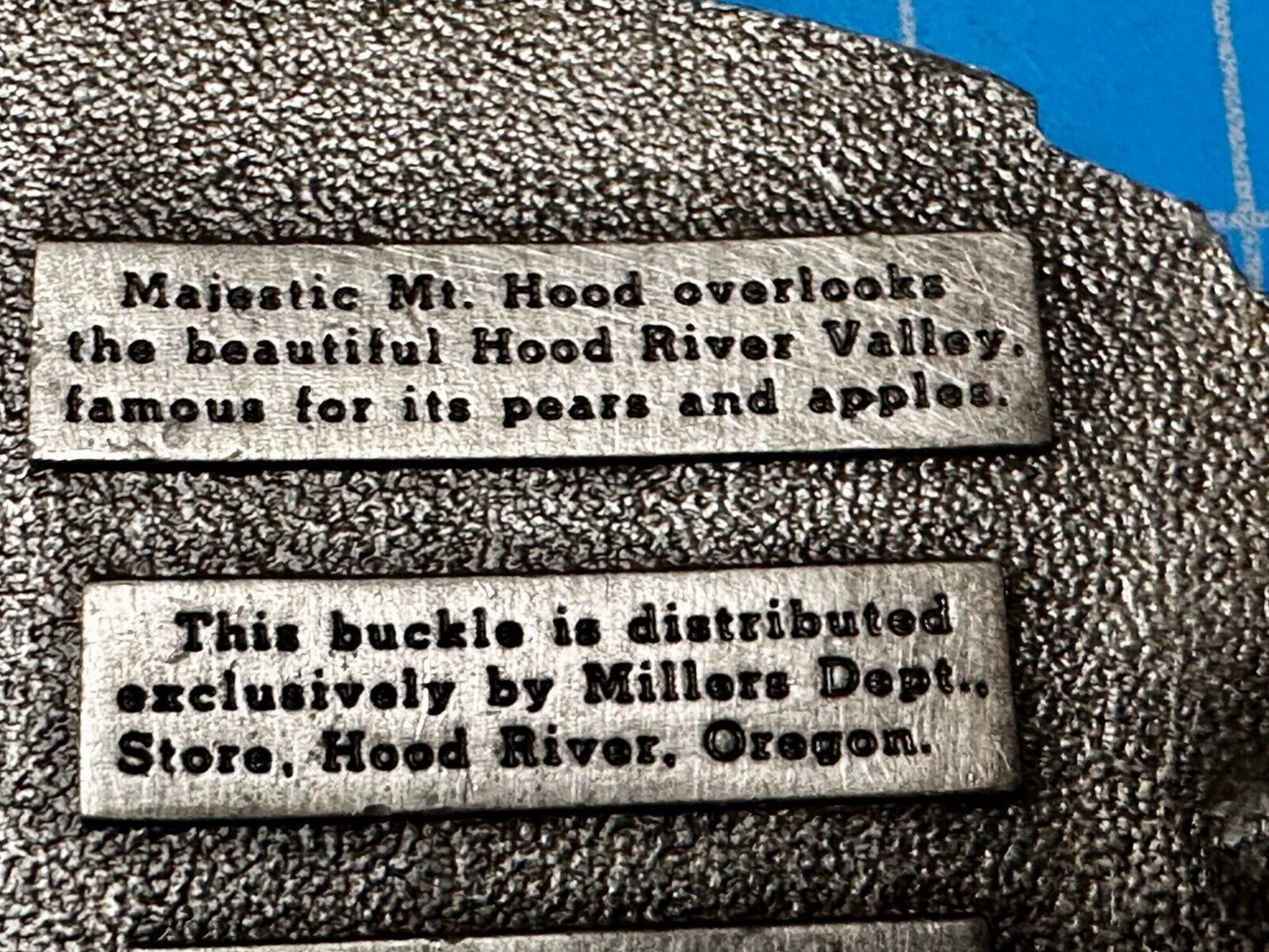 Majestic Mt. Hood River Valley Oregon Scenery Vtg 1981 Commemorative Belt Buckle