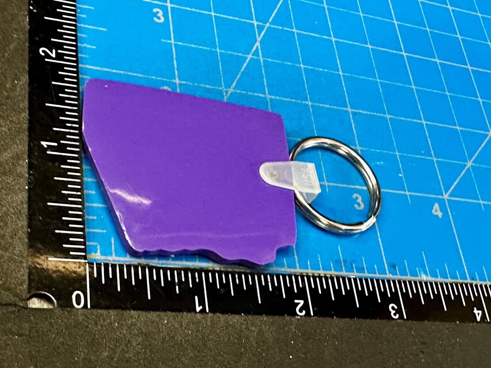 Arizona State Fair Purple Souvenir Keychain Key Ring Chain