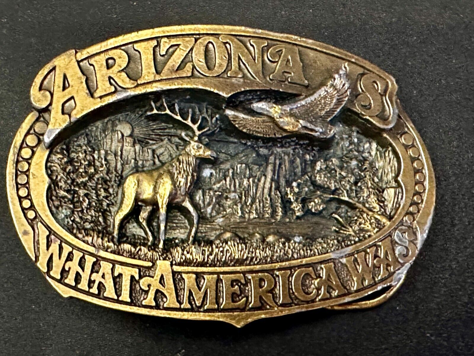 Arizona Is What America Was Wildlife Scenery 1989 The Great American Belt Buckle