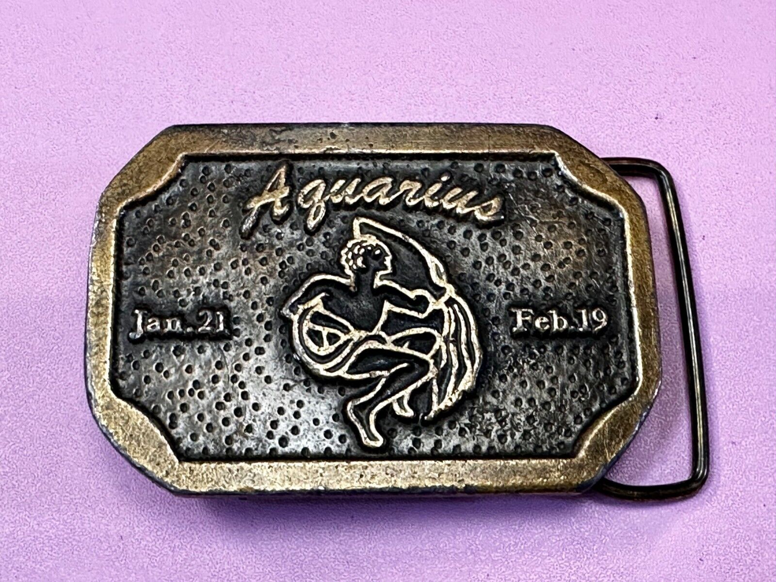 AQUARIUS Jan 21 - Feb 19  Horoscope Astrological Zodiac Cal Metals Belt Buckle