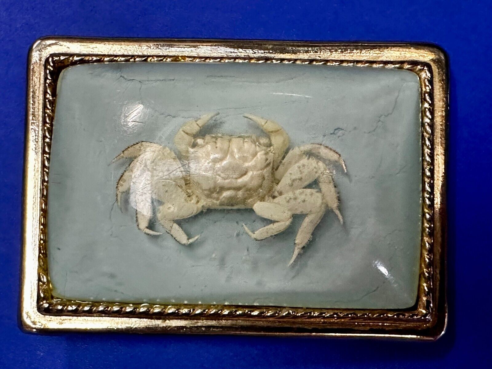 White Fiddler Crab Encased in Clear Enamel Vintage Gold tone Belt Buckle