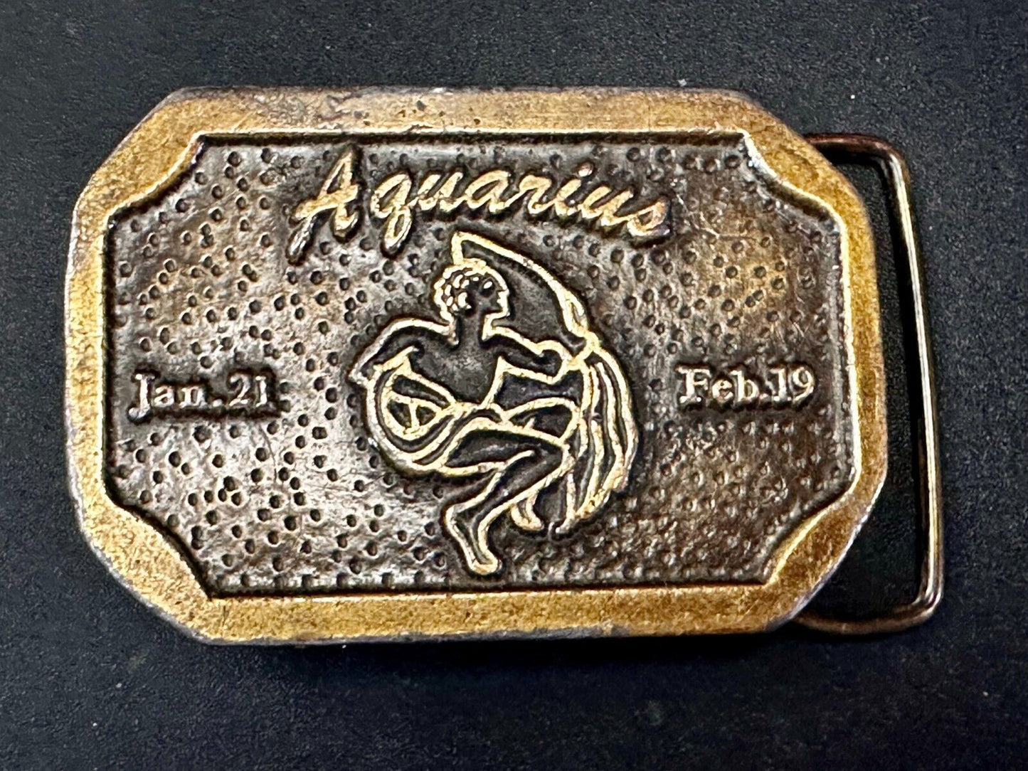 AQUARIUS Jan 21 - Feb 19  Horoscope Astrological Zodiac Cal Metals Belt Buckle