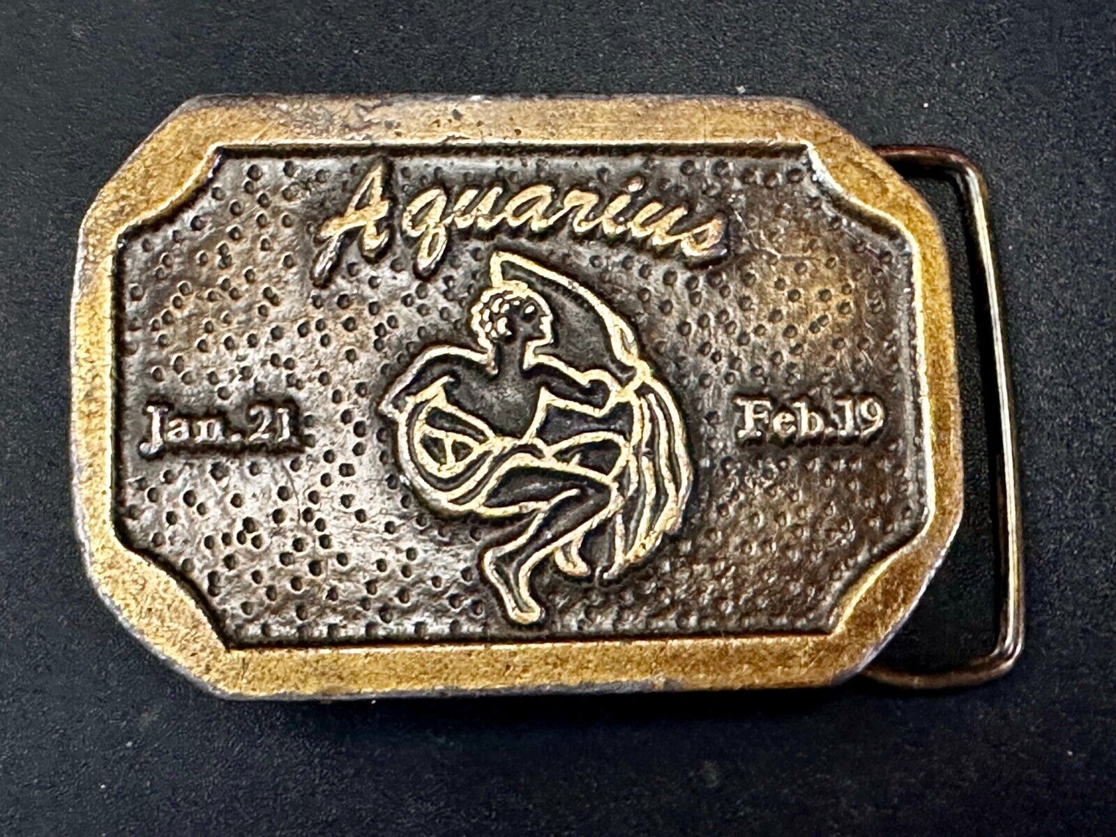 AQUARIUS Jan 21 - Feb 19  Horoscope Astrological Zodiac Cal Metals Belt Buckle