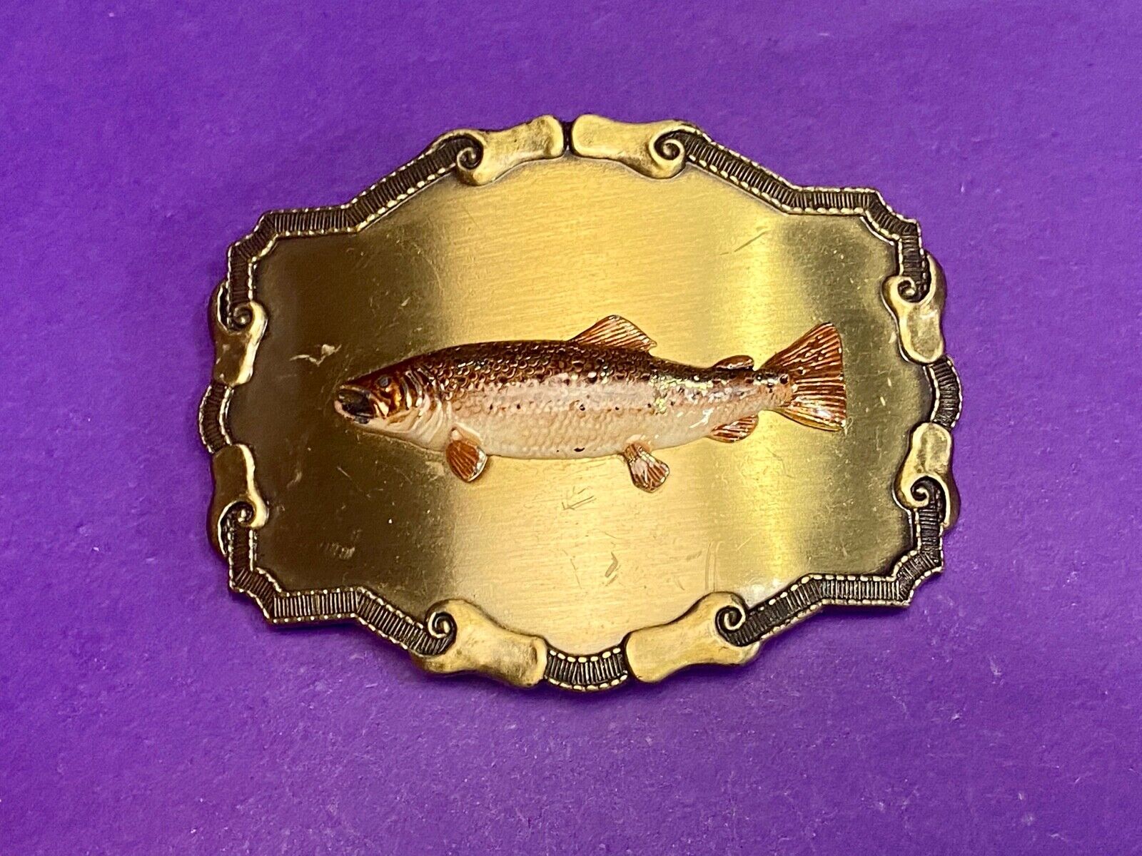 Vintage 1970'S Western Framed Trout Fish Fishing Rraintree Belt Buckle 
