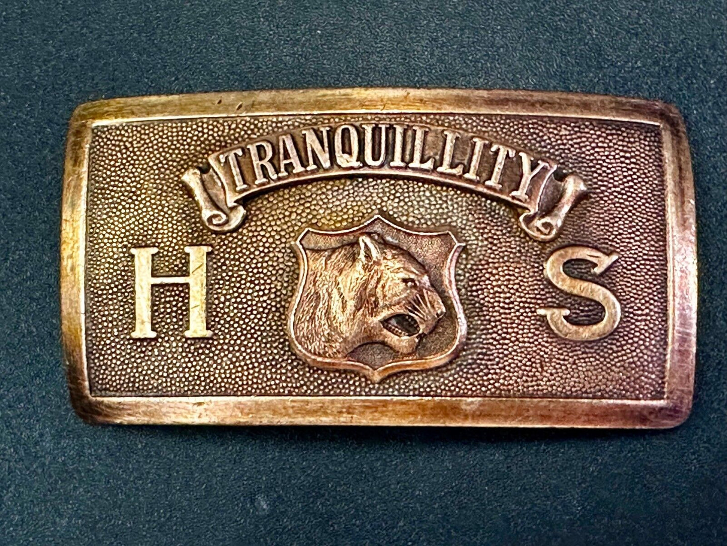 Tranquility High School Logo Seal Belt Buckle Invisible Made in USA
