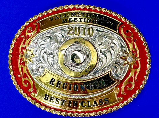 2010 Fall National Meeting Region 300 Best in Class Award Trophy Belt Buckle
