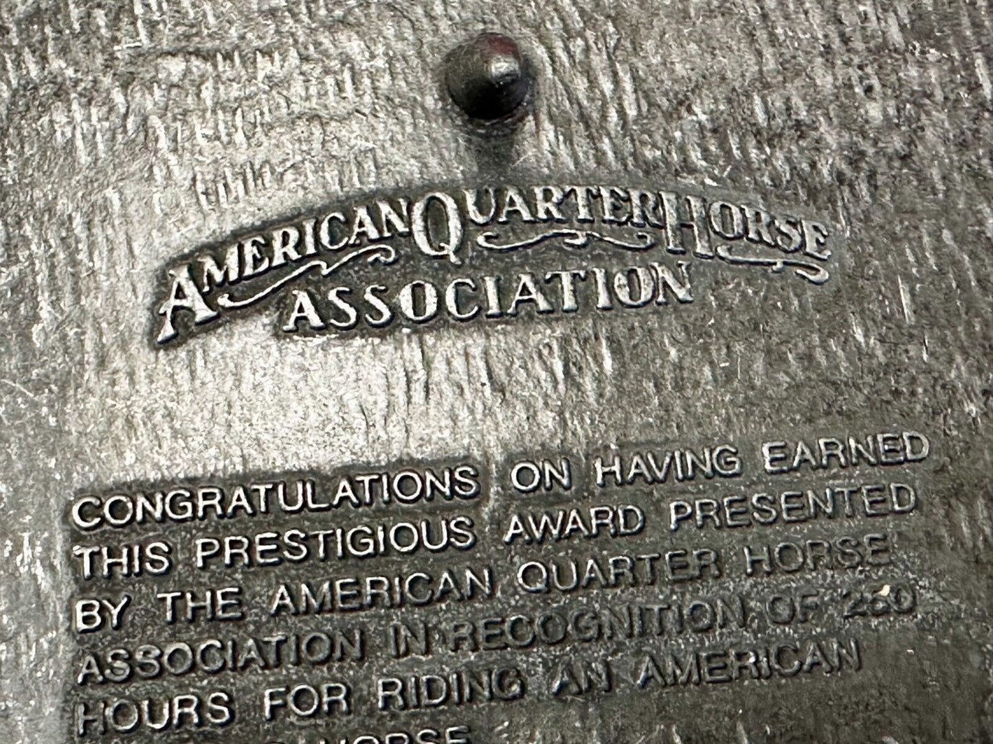 AQHA Horseback Riding Program 250 hours Award Belt Buckle by Quarterhorse
