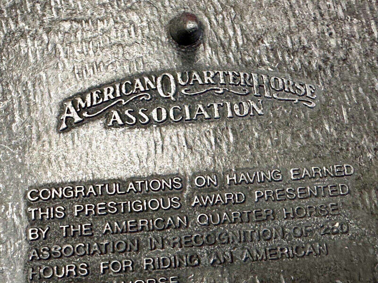AQHA Horseback Riding Program 250 hours Award Belt Buckle by Quarterhorse