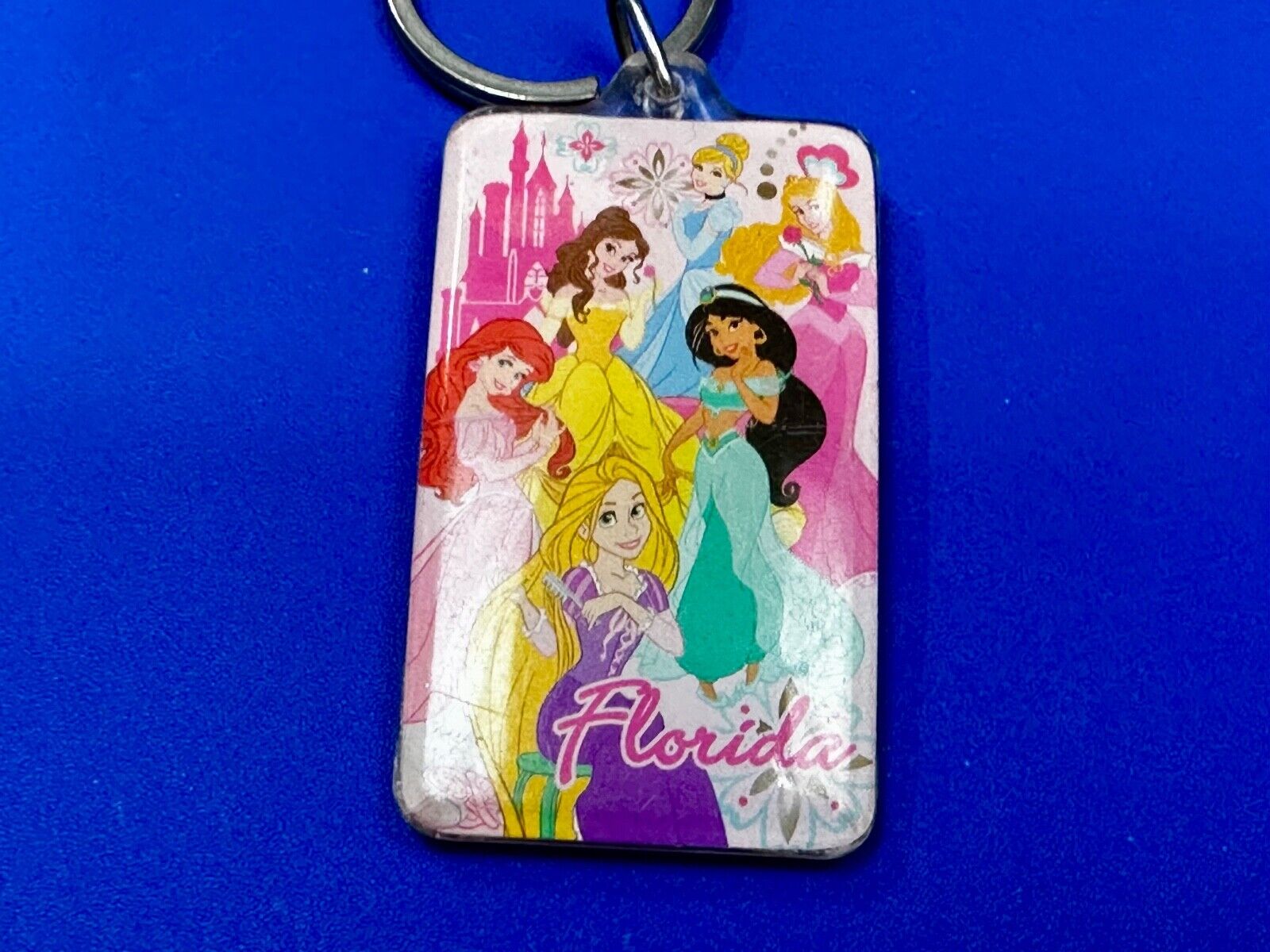 All the Princesses of Disney and Florida!  Souvenir Keychain, Key Chain Ring