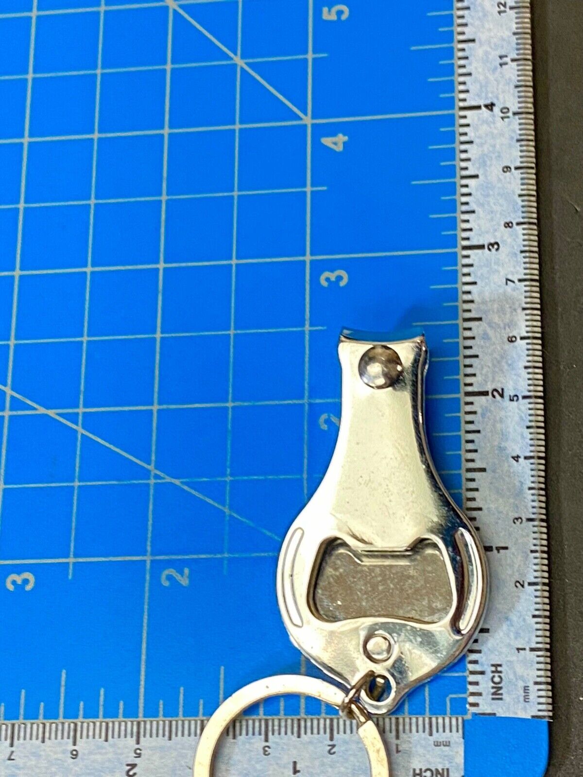 Veracruz (Mexico) Jumping swimming dolphins key chain keychain toenail clipper
