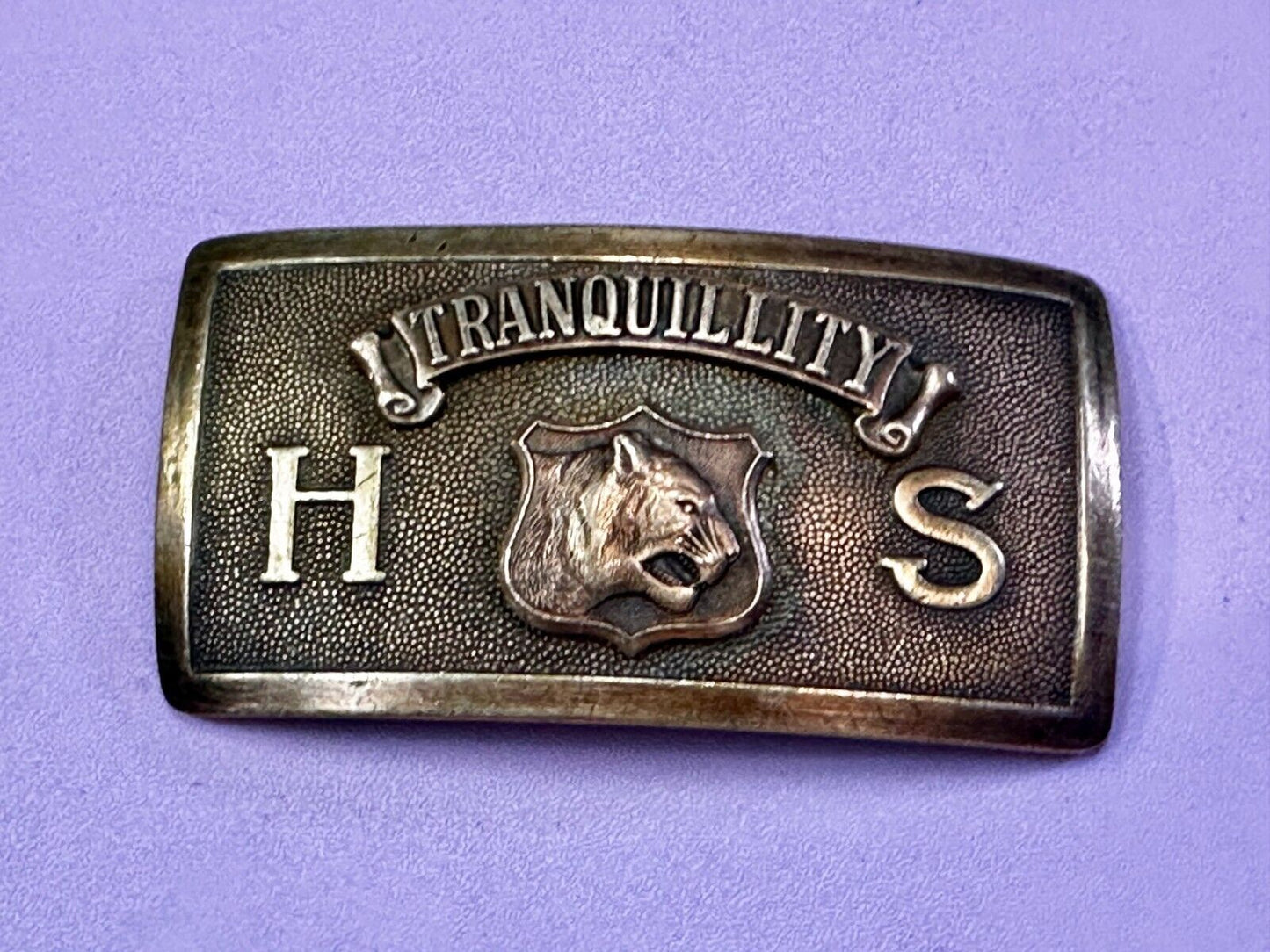 Tranquility High School Logo Seal Belt Buckle Invisible Made in USA