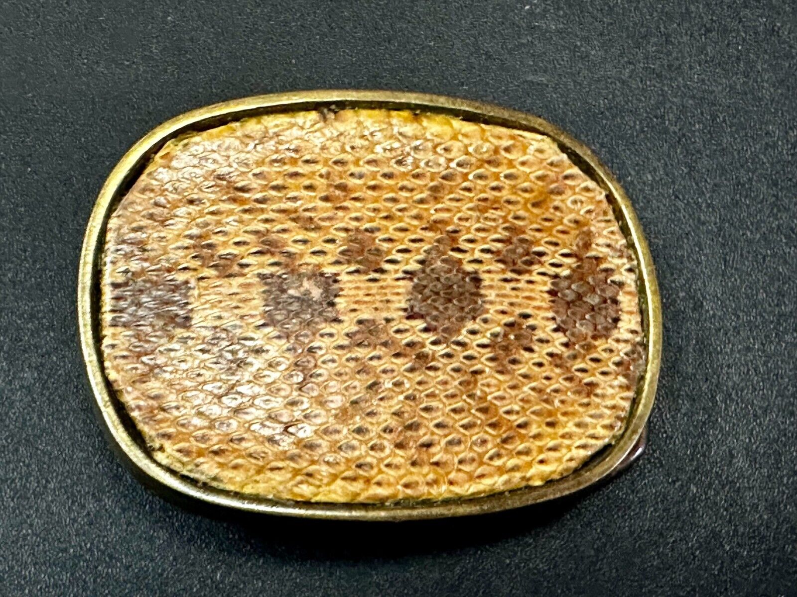 Unique Brown Snake Skin Vintage Textured Leather On Brass Tone Belt Buckle