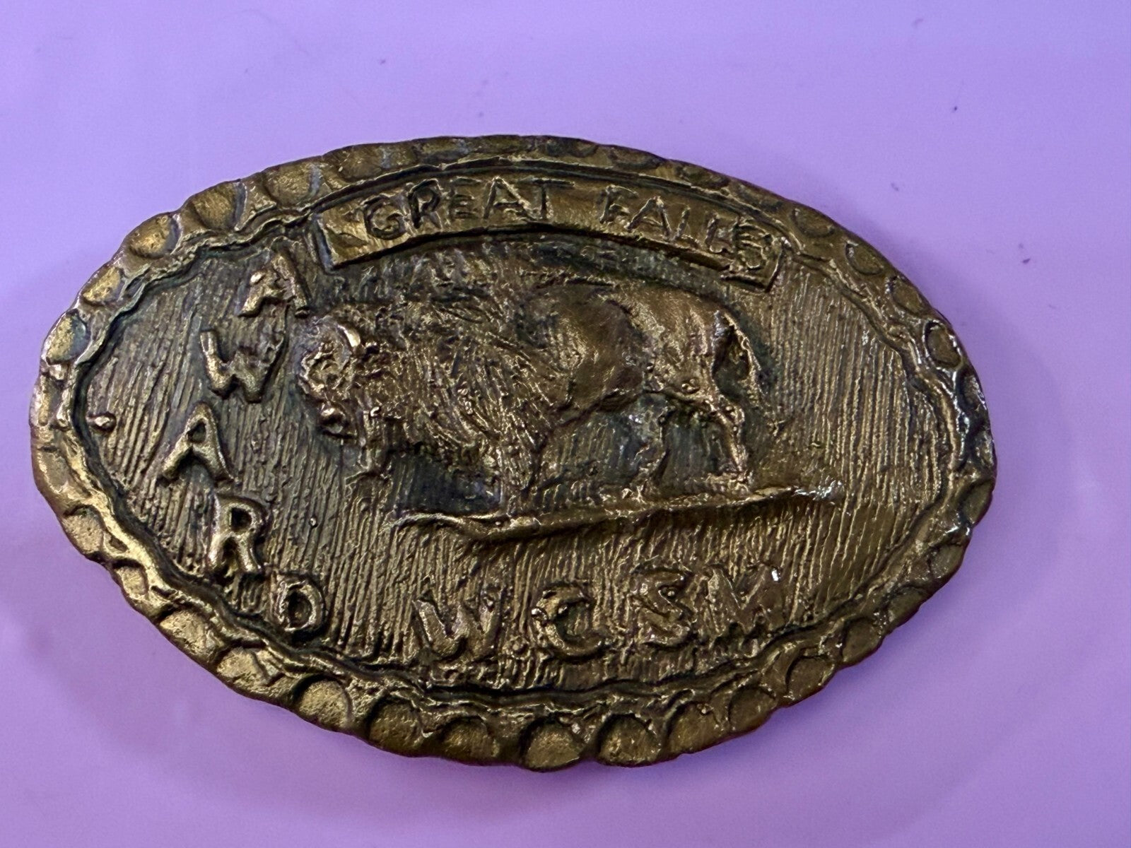 American Buffalo Bison Great Falls Award WCSM Brass Tone Hunters Belt Buckle