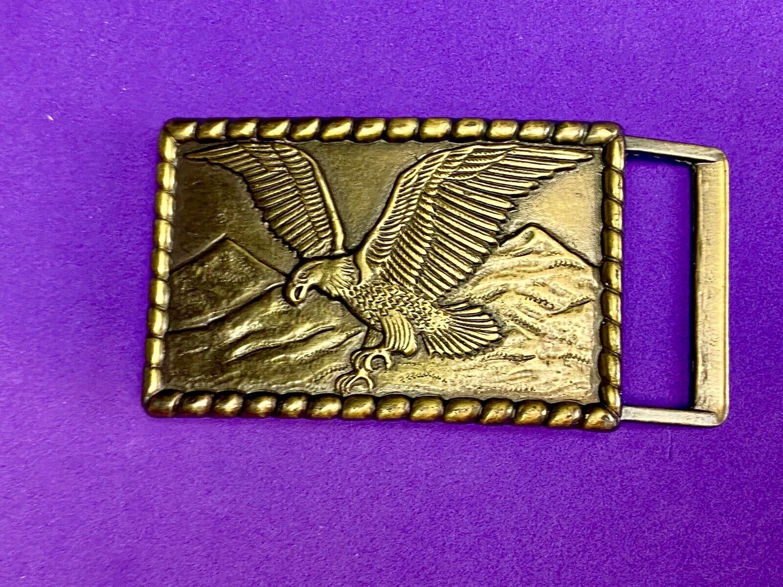 Vintage flying, hunting, fishing American eagle belt buckle with western boarder