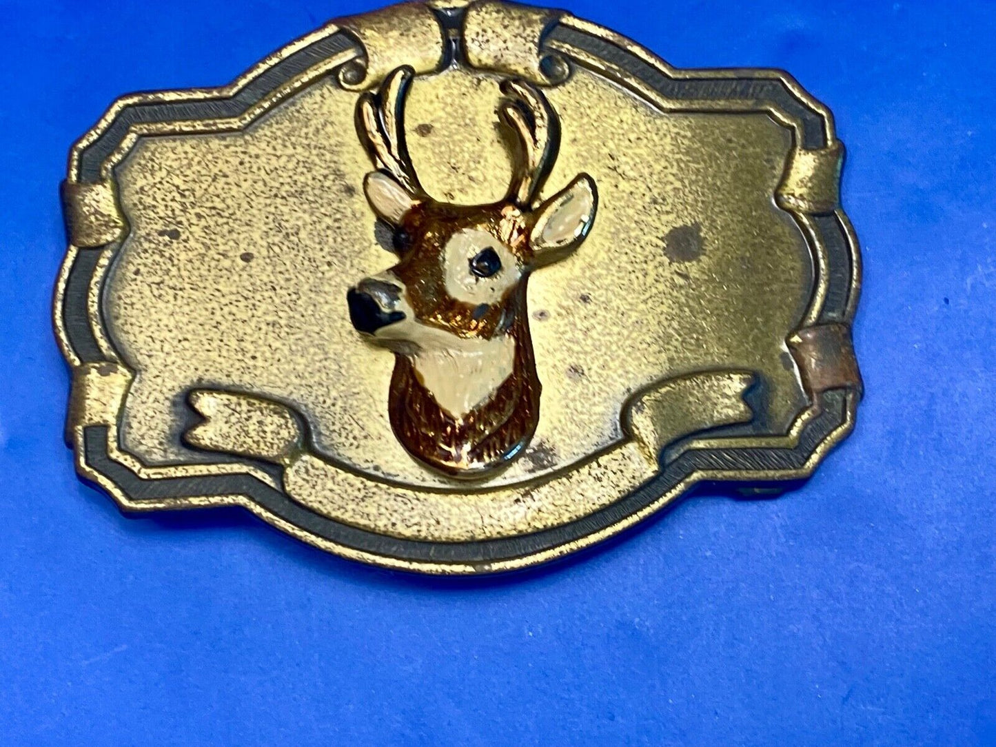 Vintage DEER Head Bust on wall!   in western framed belt buckle 