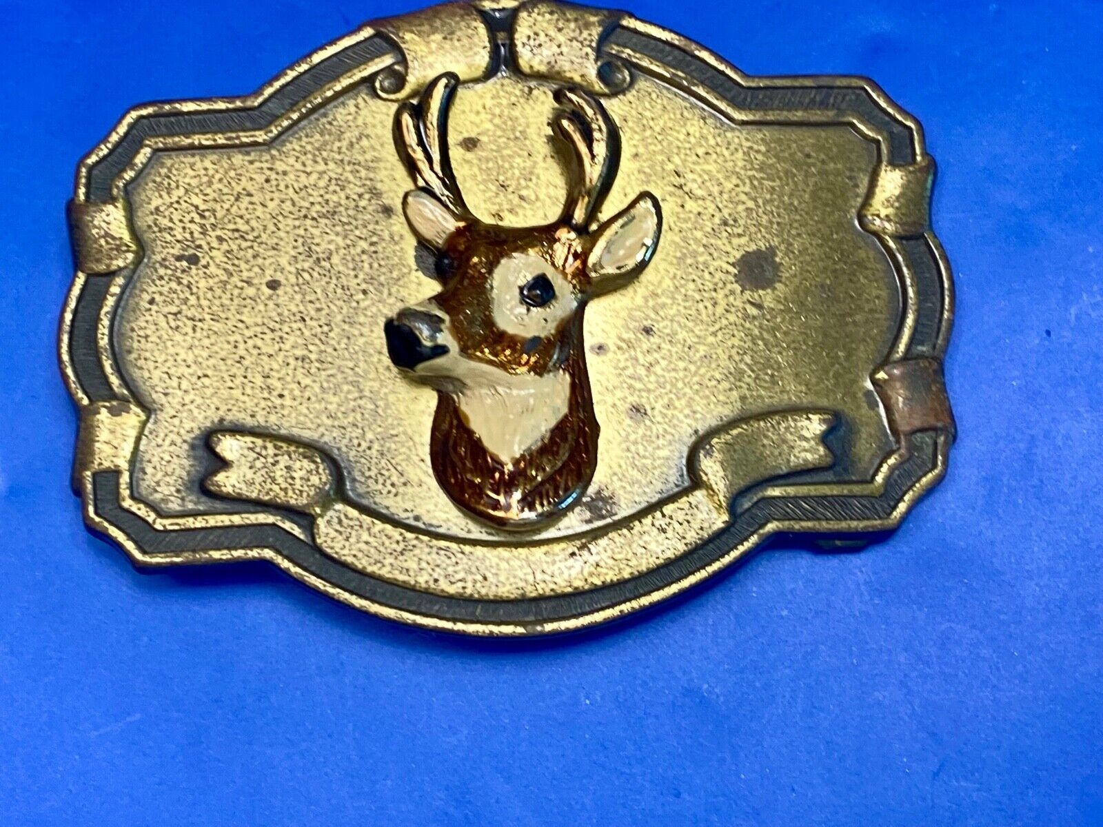Vintage DEER Head Bust on wall!   in western framed belt buckle 