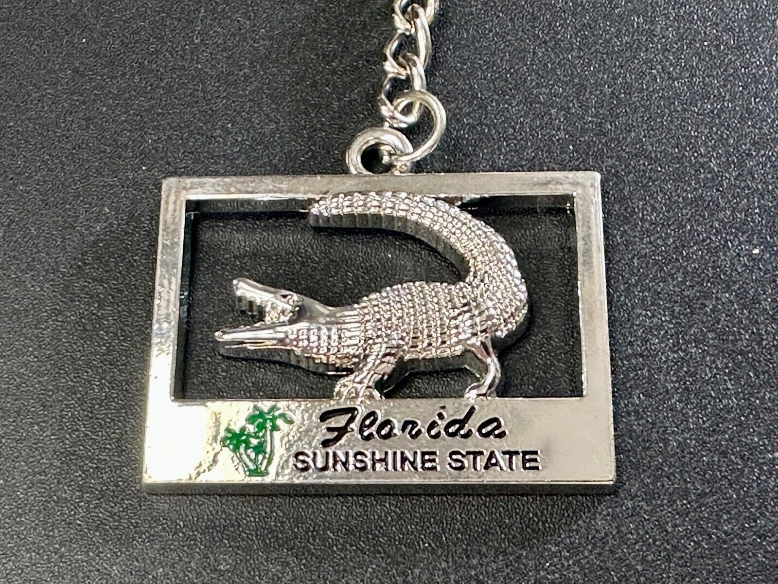 Alligator, Florida,  The Sunshine State souvenir Keychain - Key Ring Chain