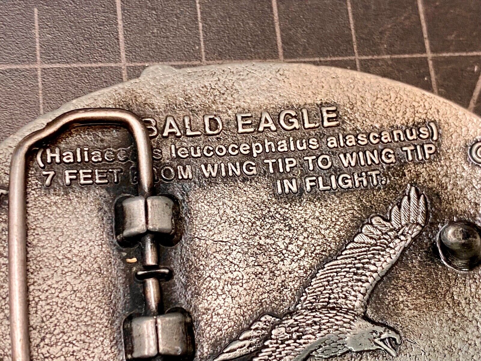 Alaska The Great Land American Bald Eagle Commemorative Belt Buckle