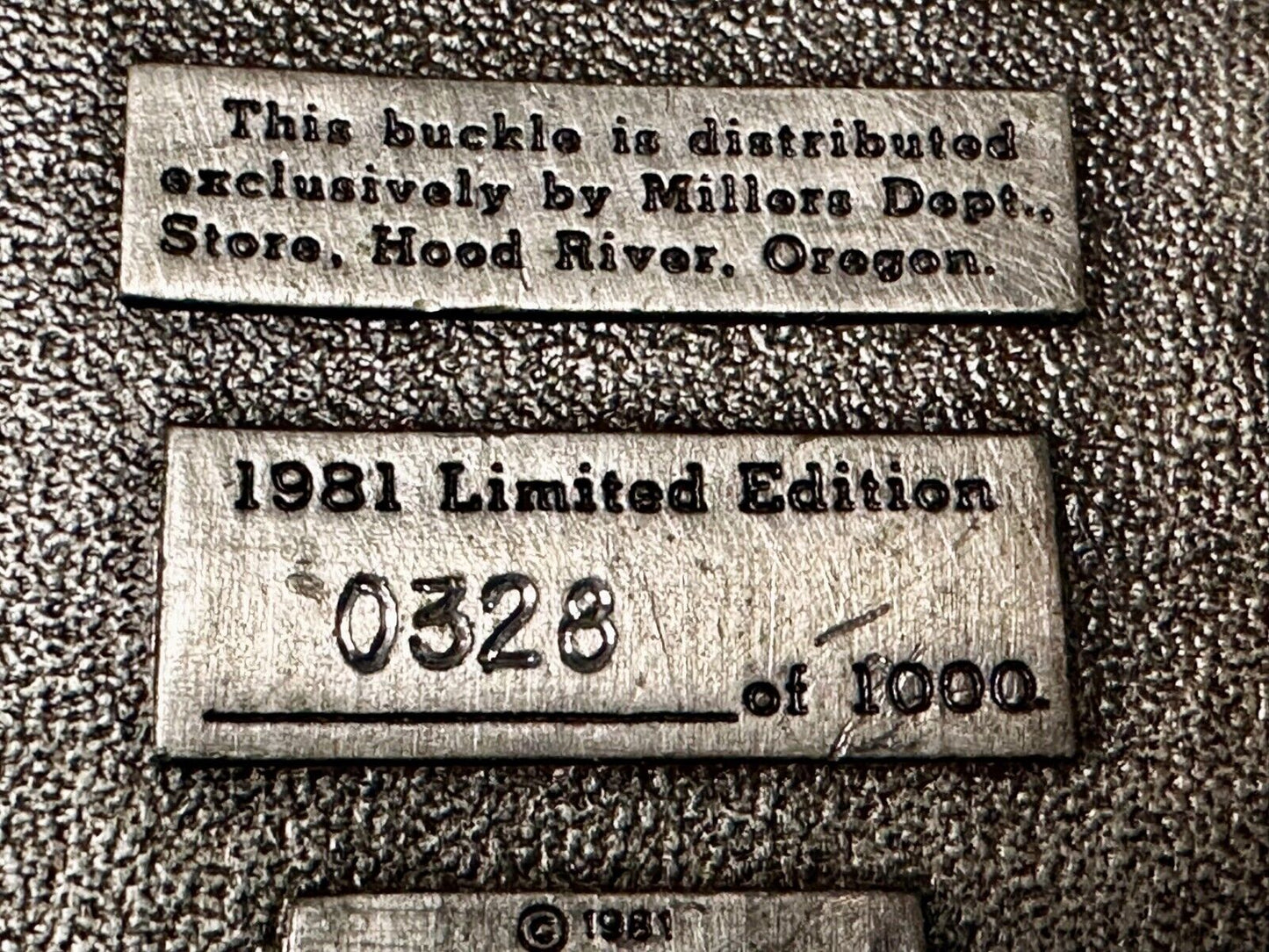 Majestic Mt. Hood River Valley Oregon Scenery Vtg 1981 Commemorative Belt Buckle