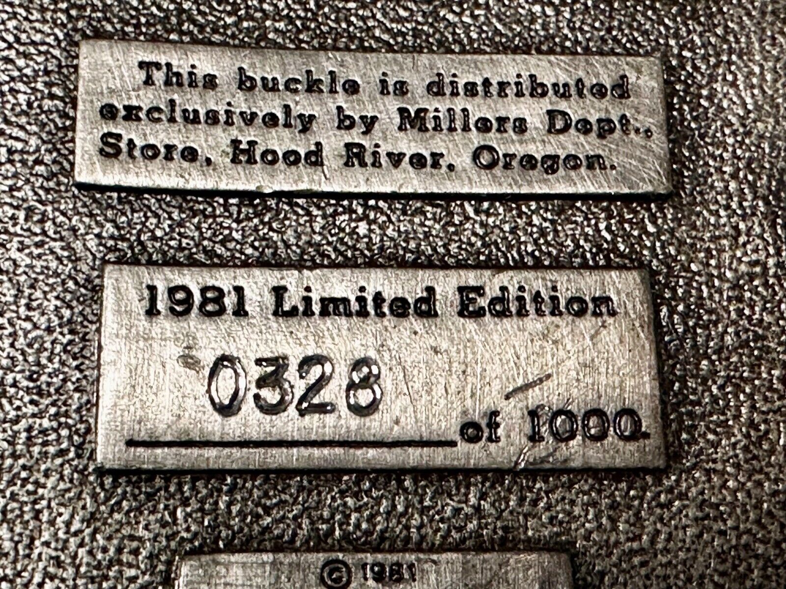 Majestic Mt. Hood River Valley Oregon Scenery Vtg 1981 Commemorative Belt Buckle