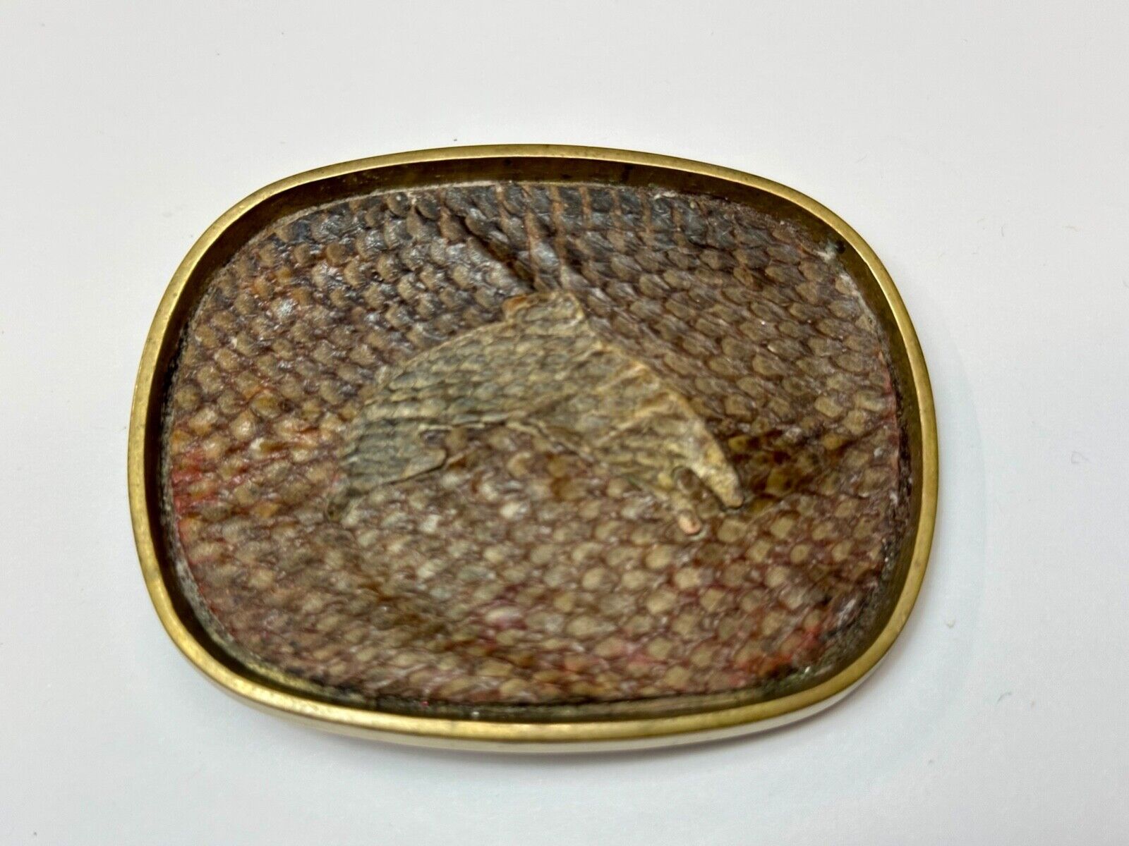 Artisan jumping fish on snake skin solid brass belt buckle