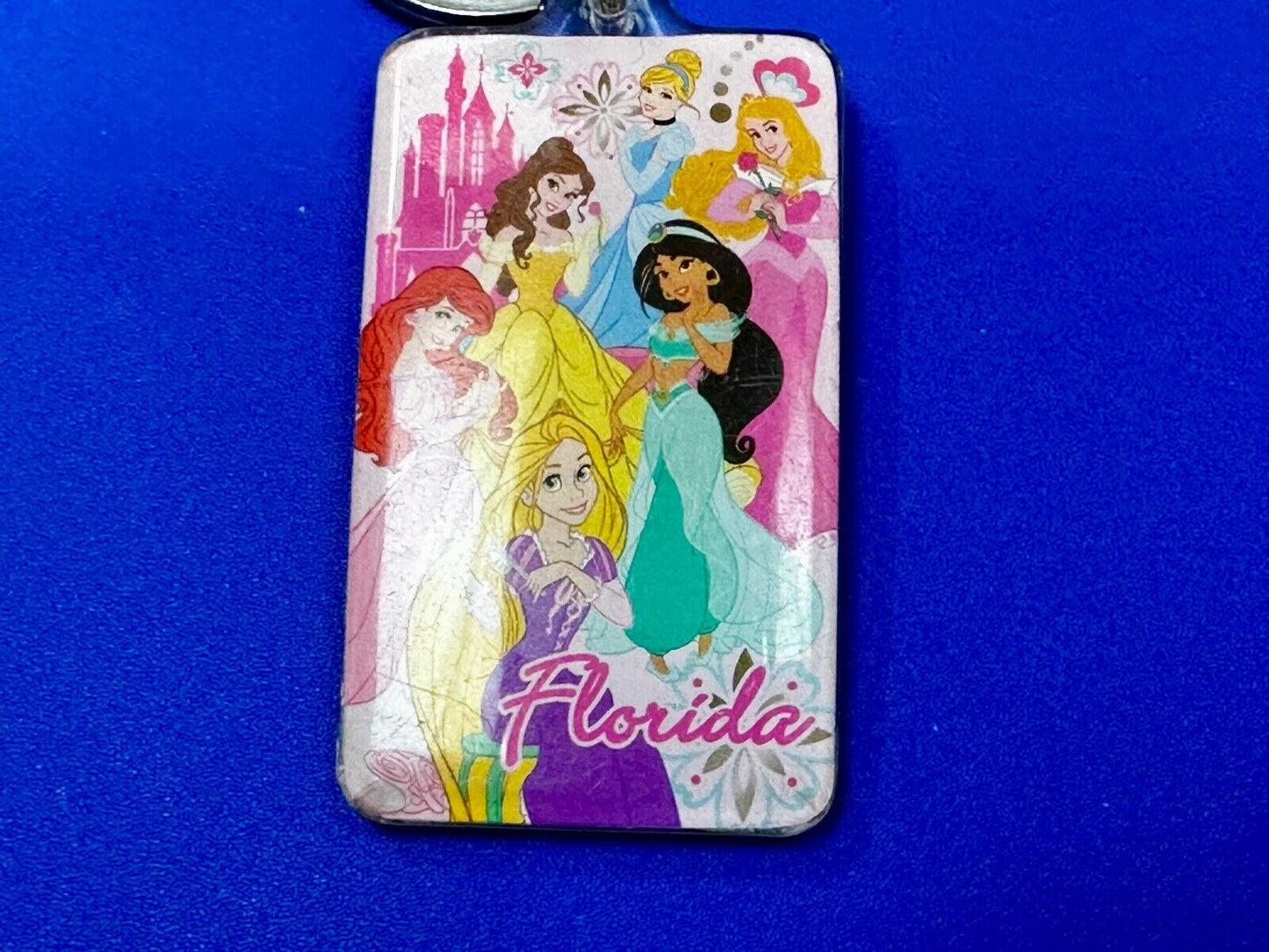 All the Princesses of Disney and Florida!  Souvenir Keychain, Key Chain Ring