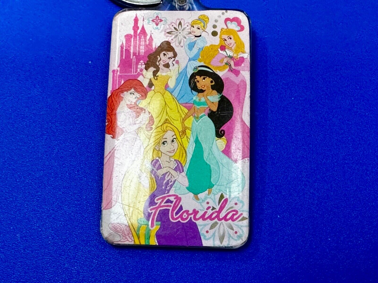 All the Princesses of Disney and Florida!  Souvenir Keychain, Key Chain Ring