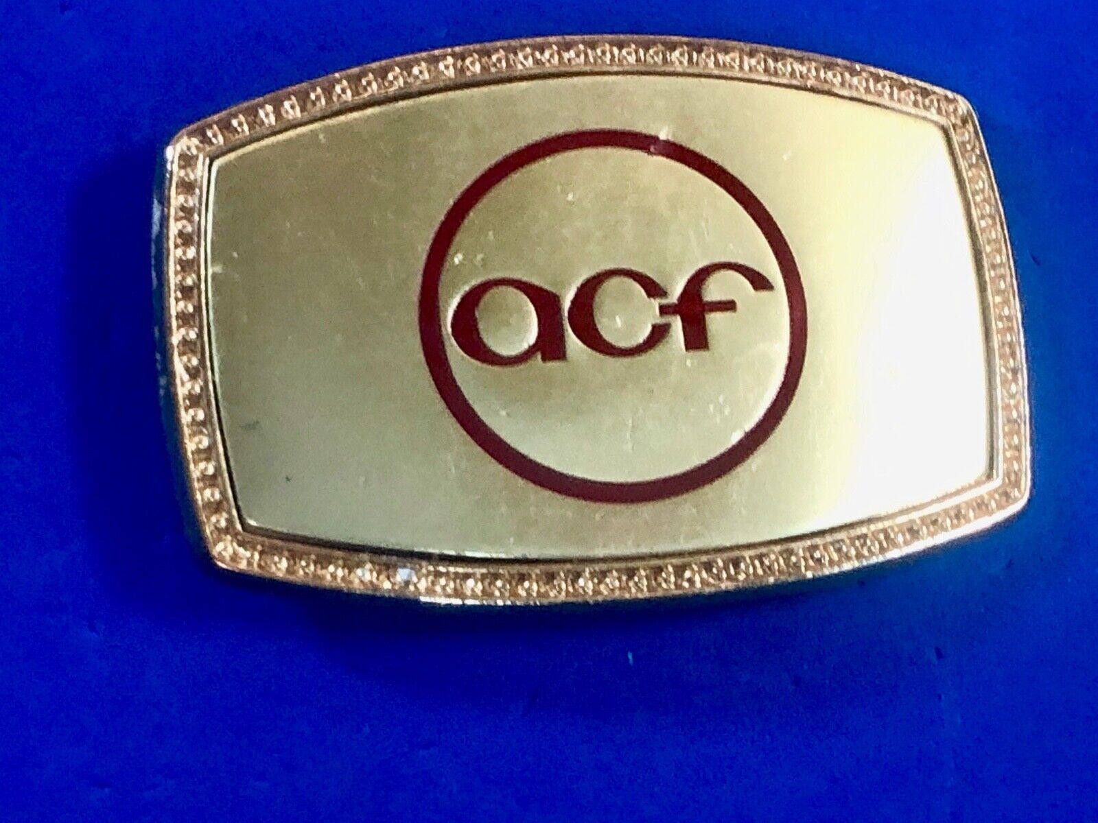 ACF. Association Of Consulting Foresters Vintage Belt Buckle 