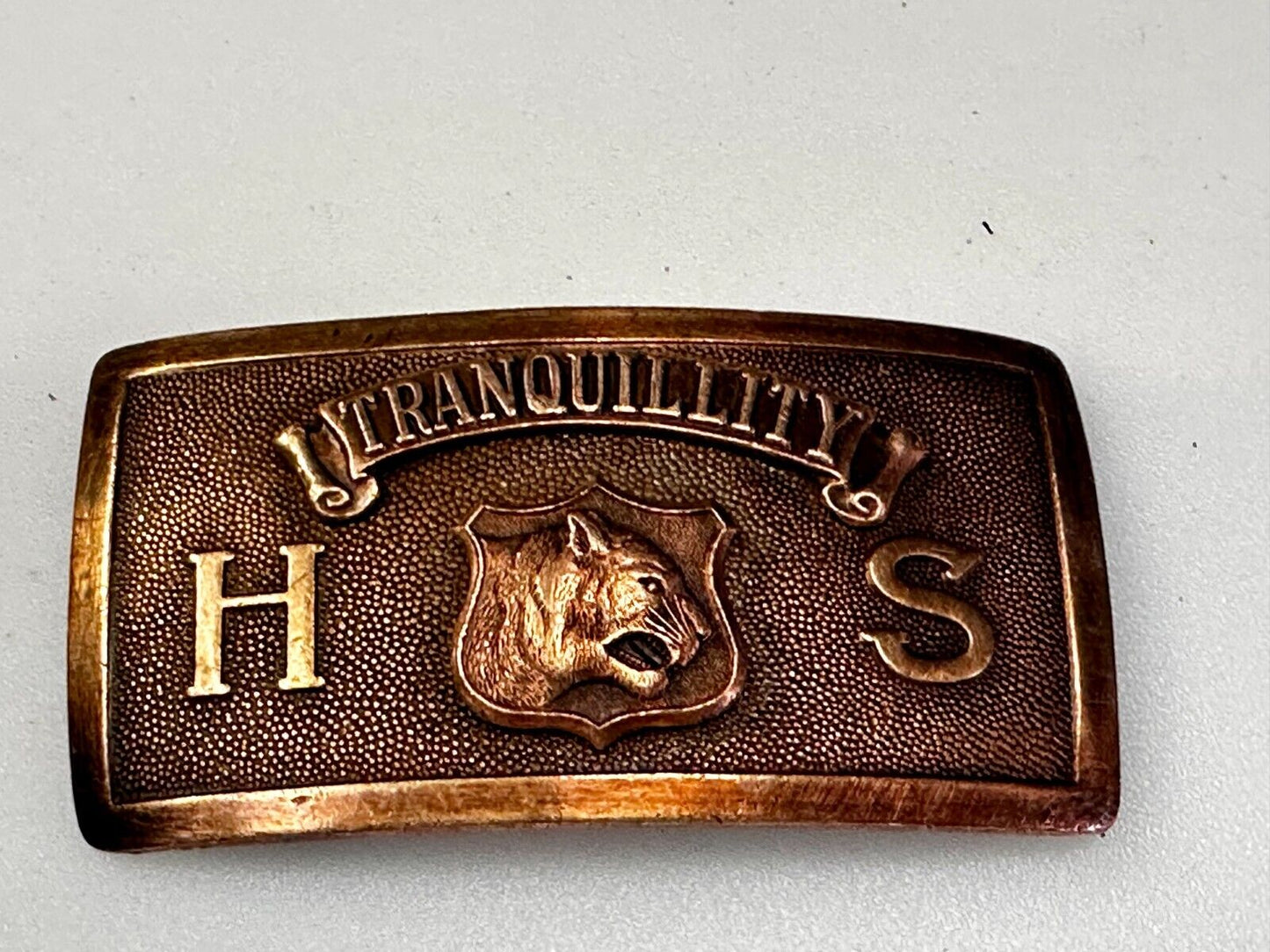 Tranquility High School Logo Seal Belt Buckle Invisible Made in USA