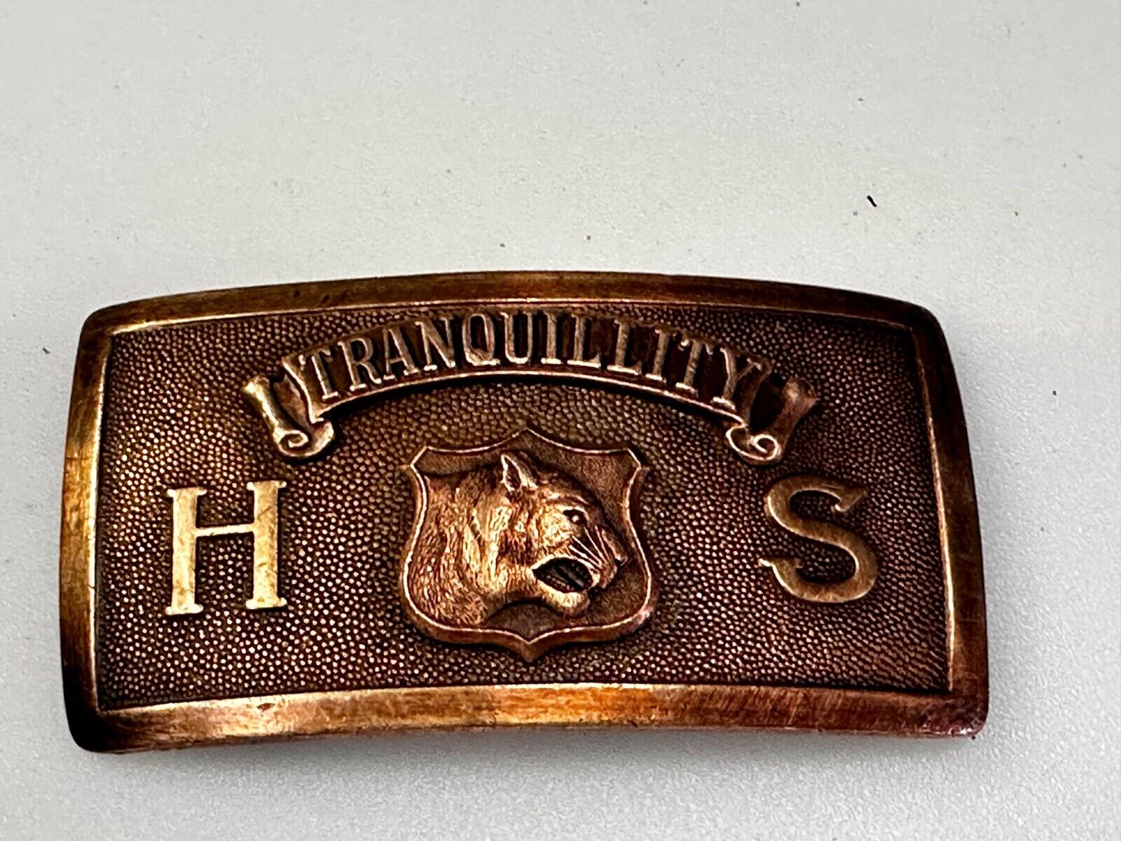 Tranquility High School Logo Seal Belt Buckle Invisible Made in USA
