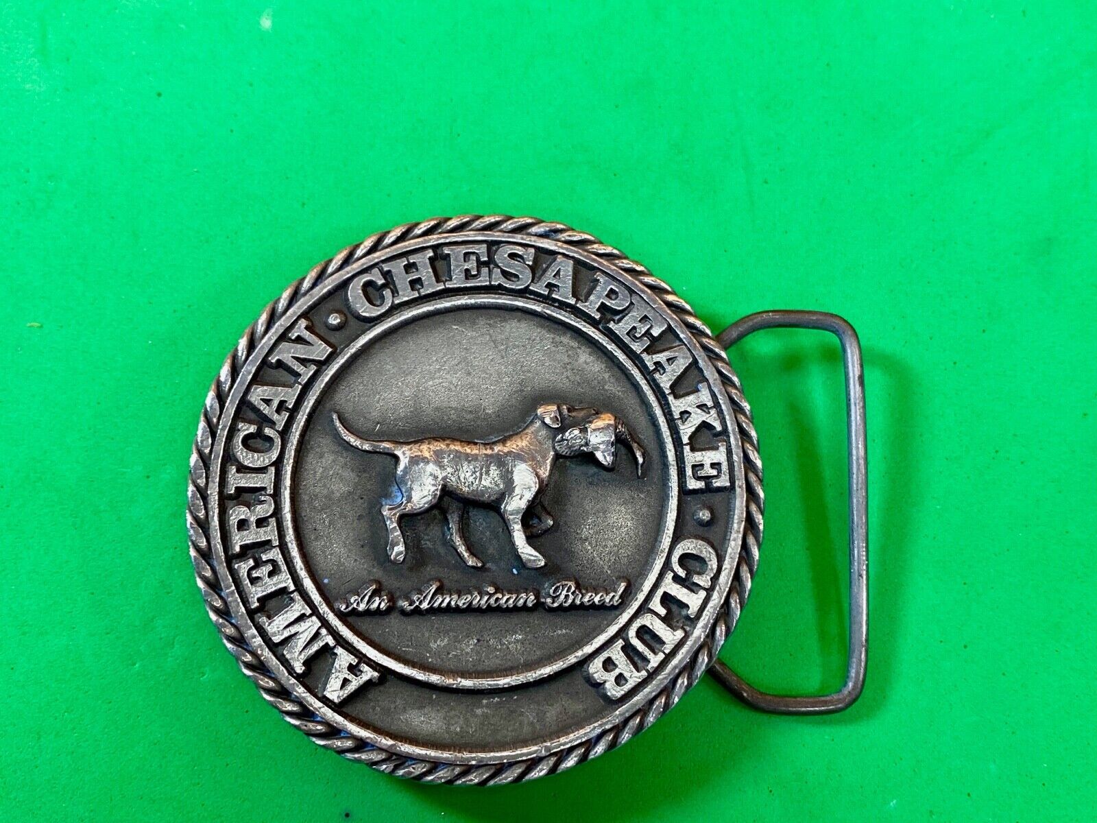 American Chesaphake Club, An American Breed Vtg 80'S Round Belt Buckle Sid Bell 