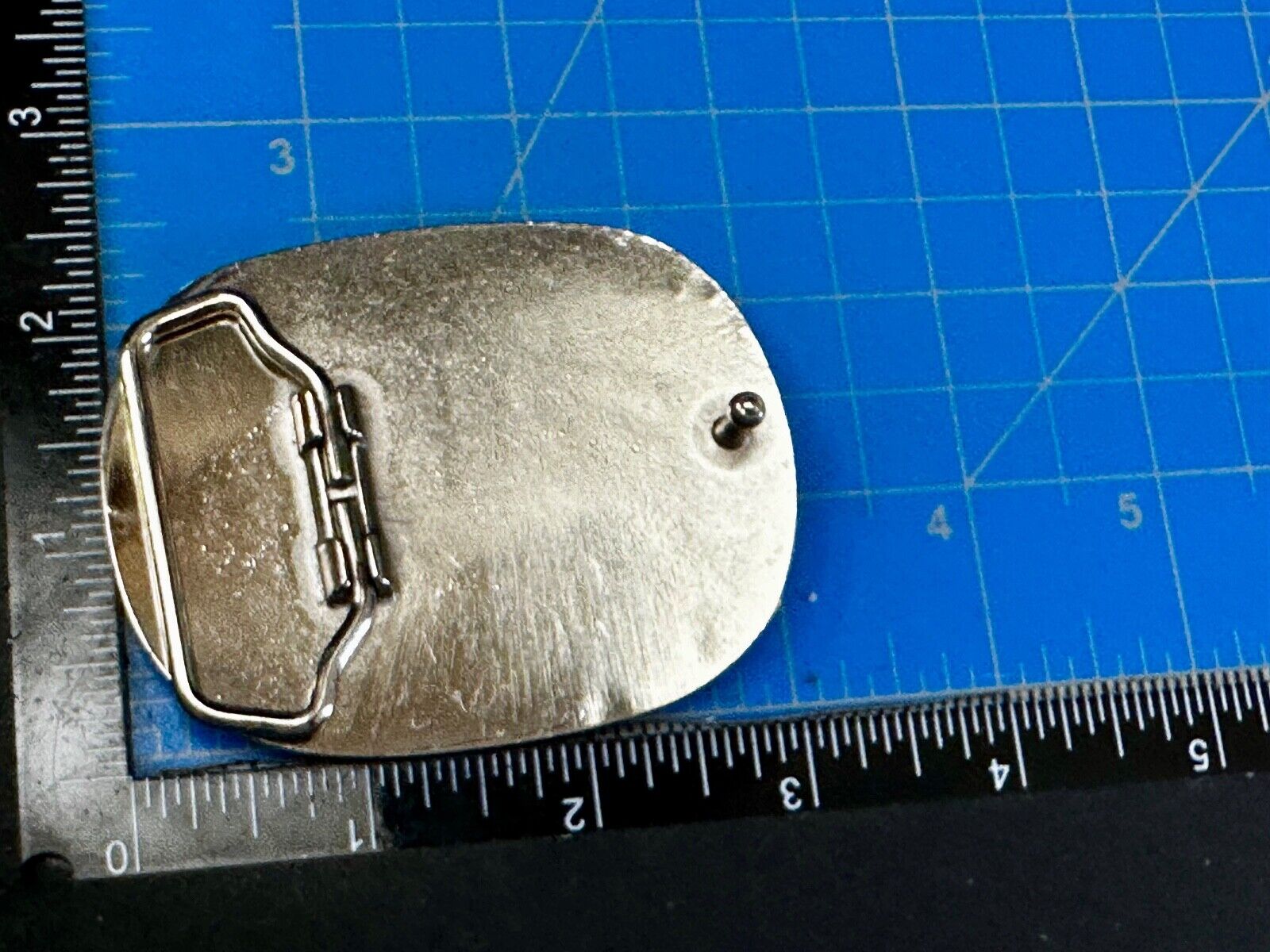 Abstract Dolphin Fish Pink & Red Colored Print on Silver Tone Belt Buckle