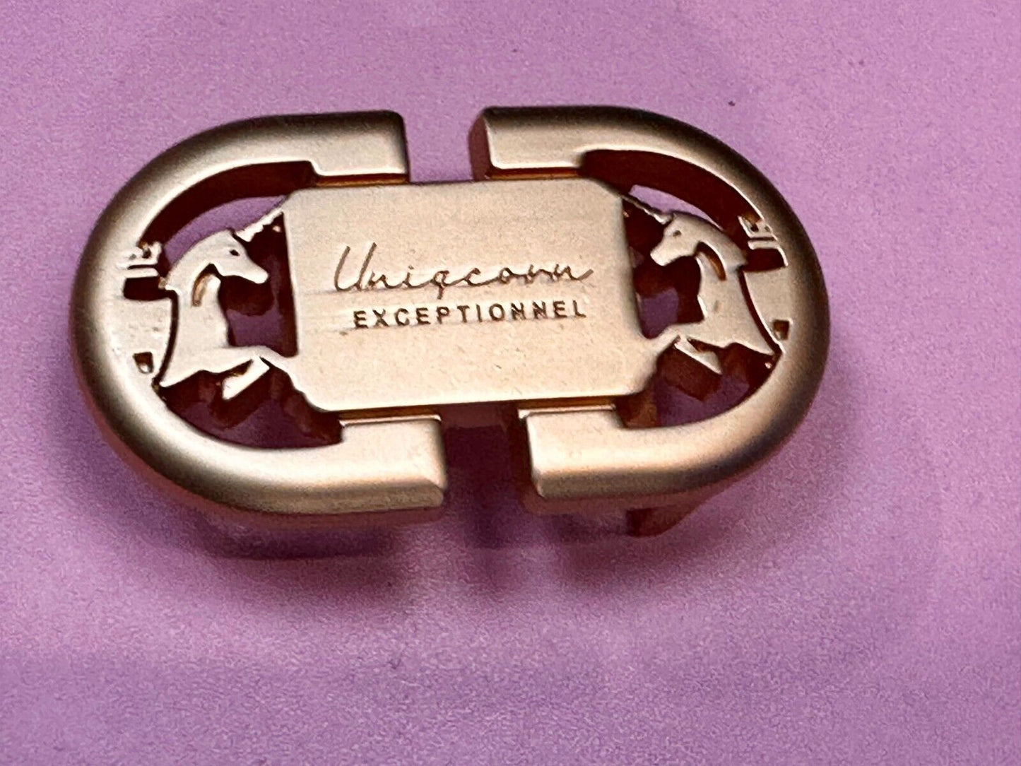 Uniqcorn Exceptionnel - Unknown to me!   unicorn's facing in cutout Belt Buckle