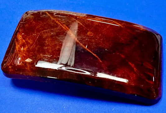 Vintage Glossy Polished Lacquered Wood Belt Buckle By Burl Wood West